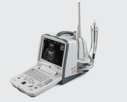 Mindray DP-6600 ecografo portatile